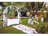 Emerald Wedding #3