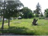 Parcul manastirii - Manastirea Agafton #8
