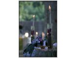 Decoratii nunta - Myryam Decorations #1
