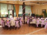 Decoratiuni sala - SILVER SWAN #10