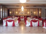 Decoratiuni sala - SILVER SWAN #12