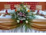 Stefany Design #4