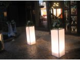 Wedding Magia #7