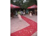 Wedding Magia #8