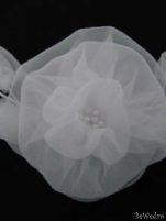 Accesorii BrumiHar