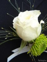 Cocarde - Perfect Bride