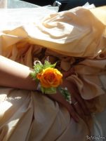 Cocarde - Perfect Bride - Cocarda #2
