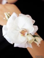 Cocarde - Perfect Bride - Cocarda #5