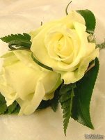 Cocarde - Perfect Bride - Cocarda #12
