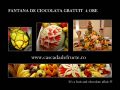 Cascada de fructe & Fantana ciocolata gratuit 4 ore