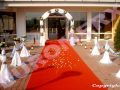 Ornamente & Accesorii EVENIMENTE