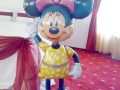 Pachet Botez