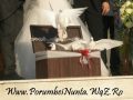 Porumbei pentru nunti constanta