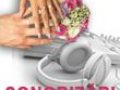 Sonorizari si muzica, efecte lumini, DJ, staroste pentru nunti si ocazii speciale
