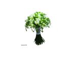Buchet mireasa - allevents - Buchete mireasa, lumanari cununie, cocarde, #7