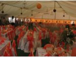 Cort nunta, evenimente, catering #3