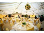 Cort nunta, evenimente, catering #8